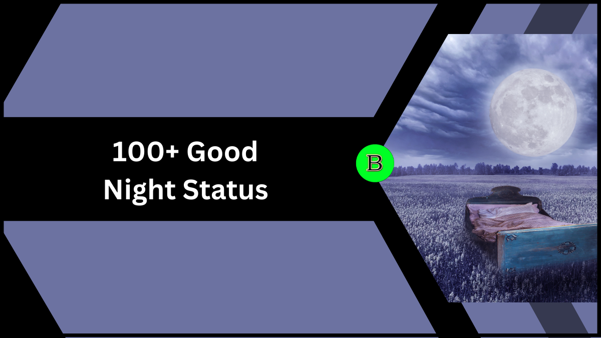 100+ Good Night Status