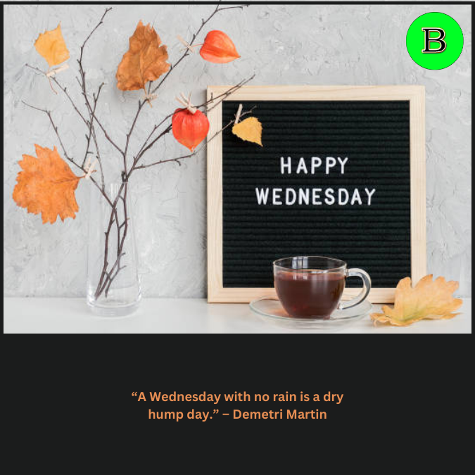 “A Wednesday with no rain is a dry hump day.” – Demetri Martin