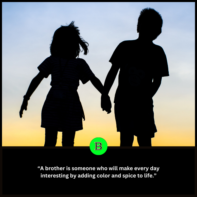 “A brother is someone who will make every day interesting by adding color and spice to life.”