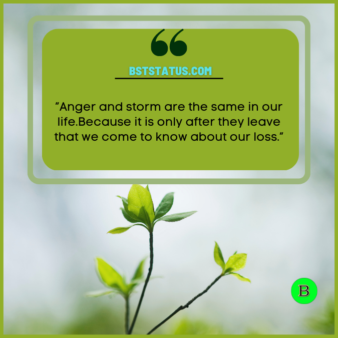 Anger and storm are the same in our life. Because it is only after they leave that we come to know about our loss.”