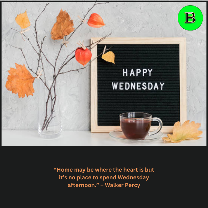 “Home may be where the heart is but it’s no place to spend Wednesday afternoon.” – Walker Percy