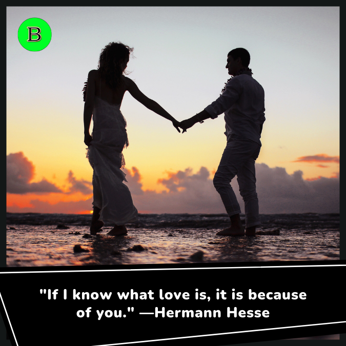 "If I know what love is, it is because of you." —Hermann Hesse
