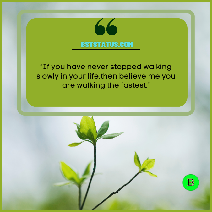 ”If you have never stopped walking slowly in your life, then believe me you are walking the fastest.”