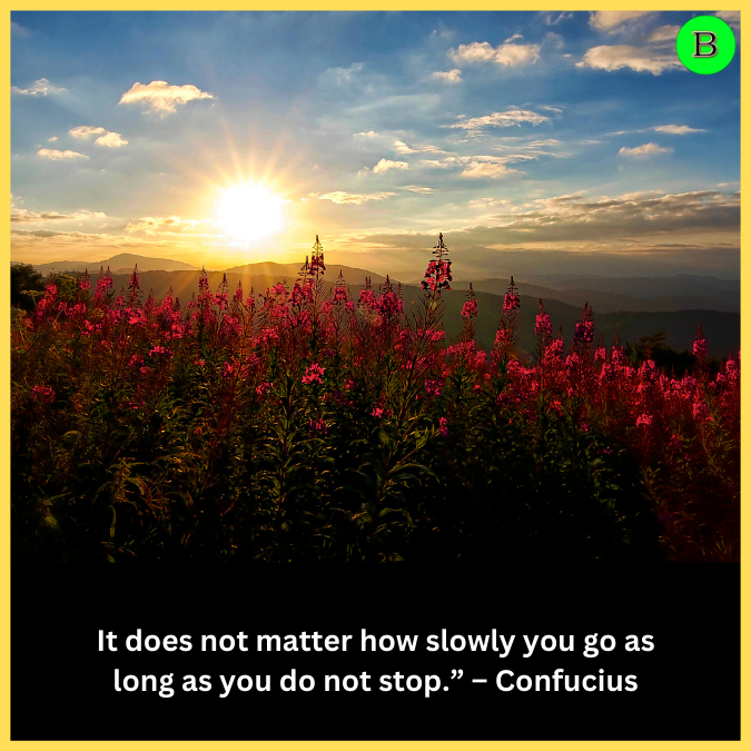 It does not matter how slowly you go as long as you do not stop.” – Confucius