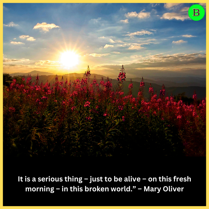 It is a serious thing – just to be alive – on this fresh morning – in this broken world.” – Mary Oliver