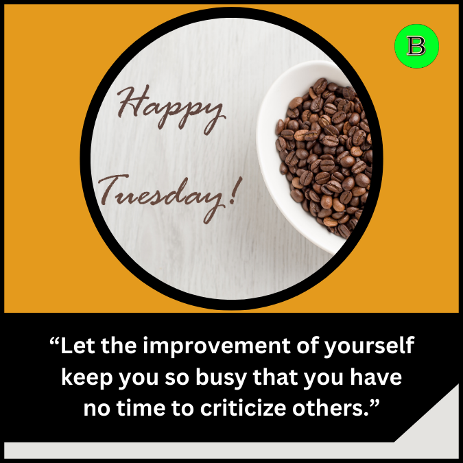 “Let the improvement of yourself keep you so busy that you have no time to criticize others.”