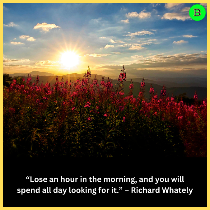 “Lose an hour in the morning, and you will spend all day looking for it.” – Richard Whately