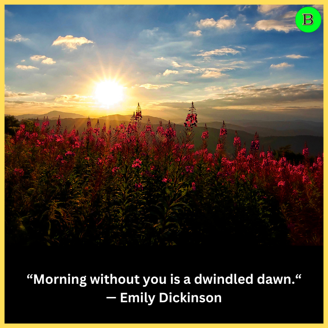 “Morning without you is a dwindled dawn.“ — Emily Dickinson
