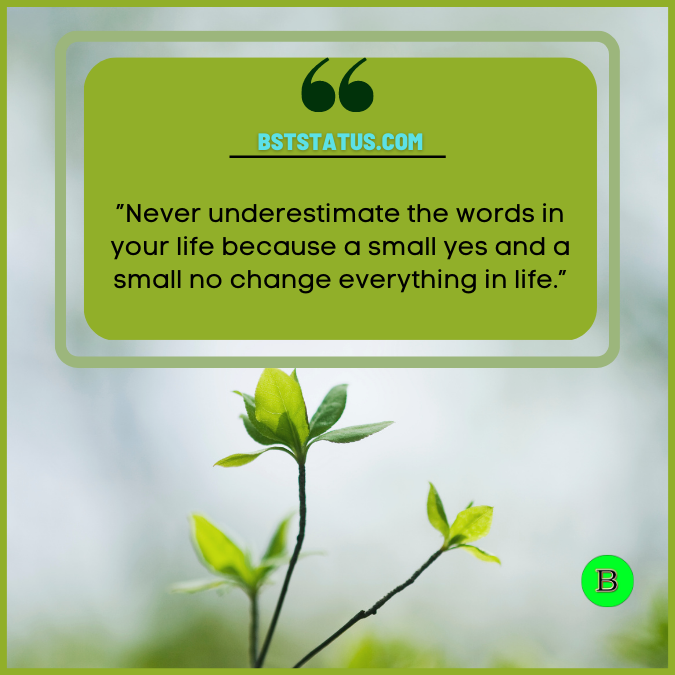”Never underestimate the words in your life because a small yes and a small no change everything in life.”