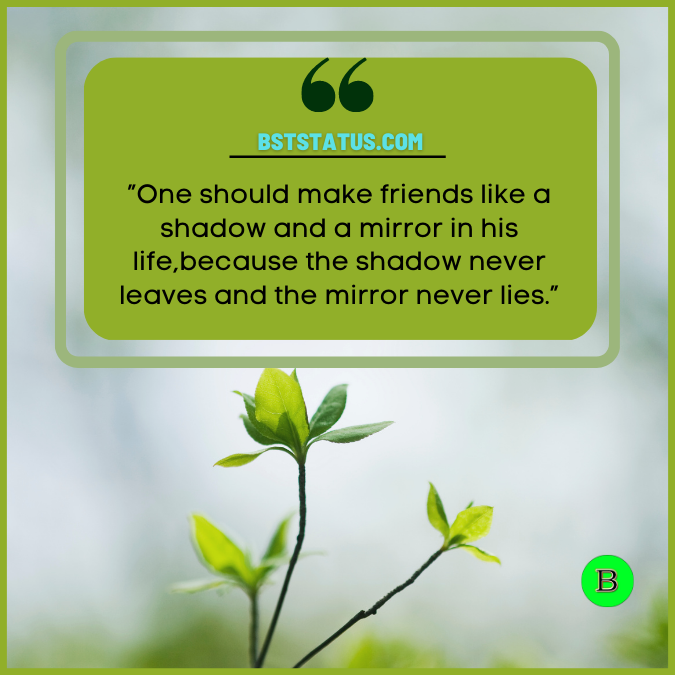 ”One should make friends like a shadow and a mirror in his life, because the shadow never leaves and the mirror never lies.”