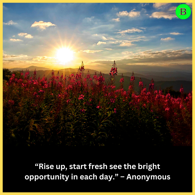 “Rise up, start fresh see the bright opportunity in each day.” – Anonymous