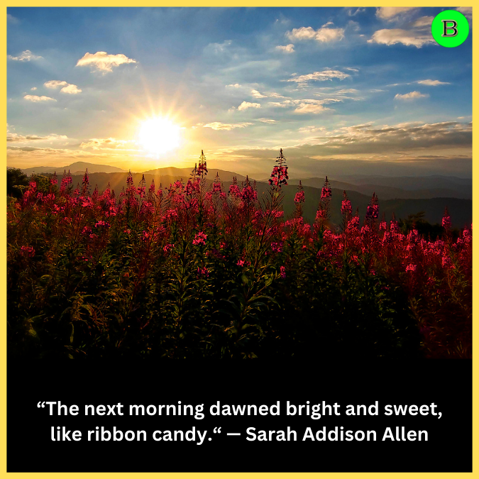 “The next morning dawned bright and sweet, like ribbon candy.“ — Sarah Addison Allen