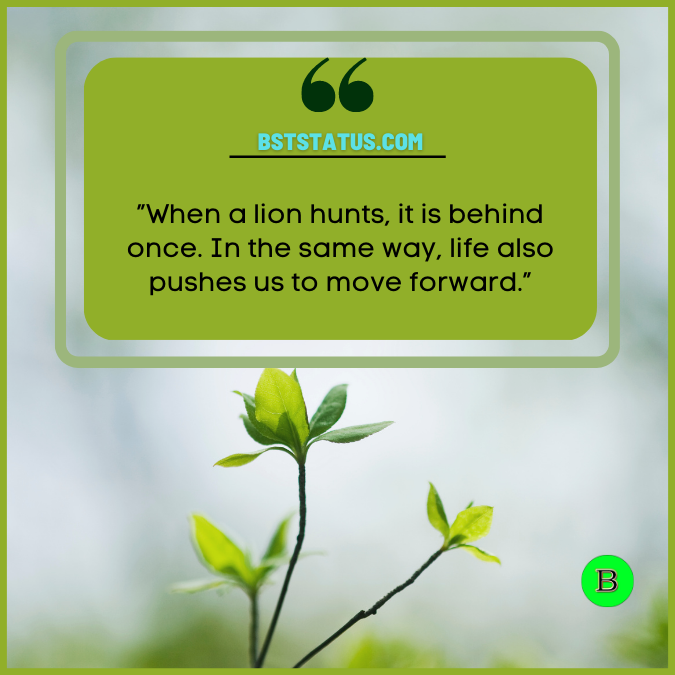 ”When a lion hunts, it is behind once. In the same way, life also pushes us to move forward.”