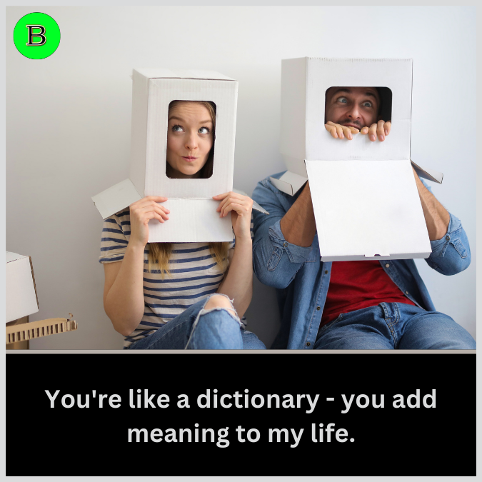 You're like a dictionary - you add meaning to my life.