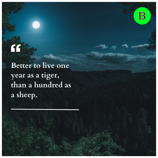 Better to live one year as a tiger, than a hundred as a sheep.