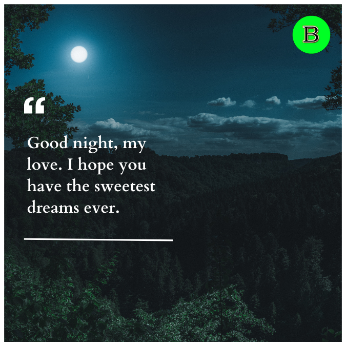 Good night, my love. I hope you have the sweetest dreams ever.