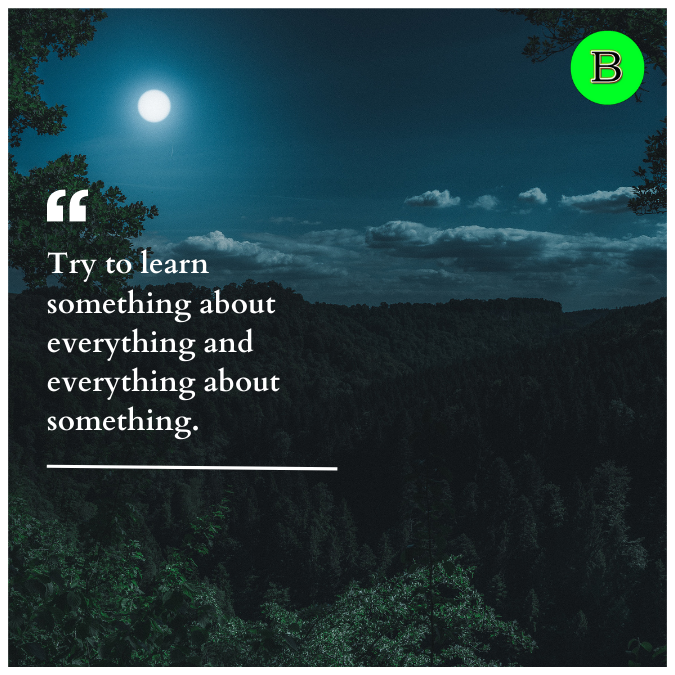 Try to learn something about everything and everything about something.