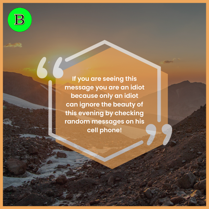 If you are seeing this message you are an idiot because only an idiot can ignore the beauty of this evening by checking random messages on his cell phone!