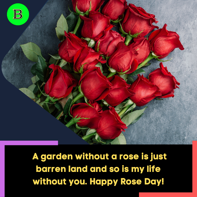 _A garden without a rose is just barren land and so is my life without you. Happy Rose Day!