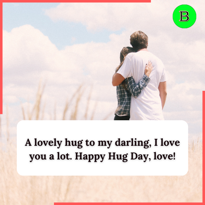 A lovely hug to my darling, I love you a lot. Happy Hug Day, love!