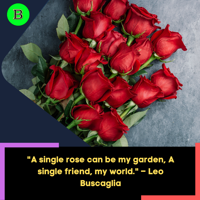 A single rose can be my garden, A single friend, my world. – Leo Buscaglia