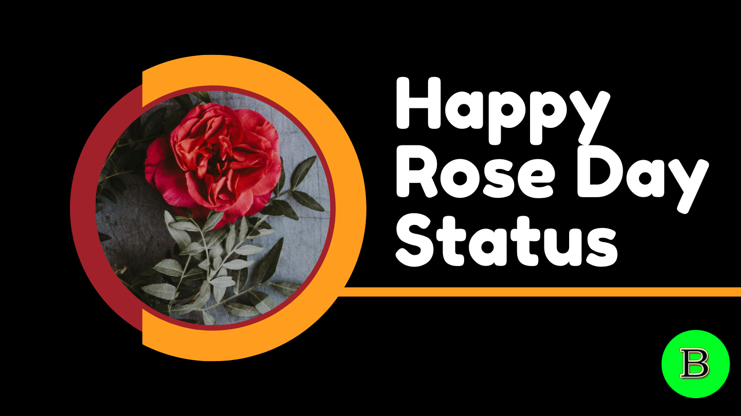 Happy Rose Day Shayari Images, Rose Day Wallpapers