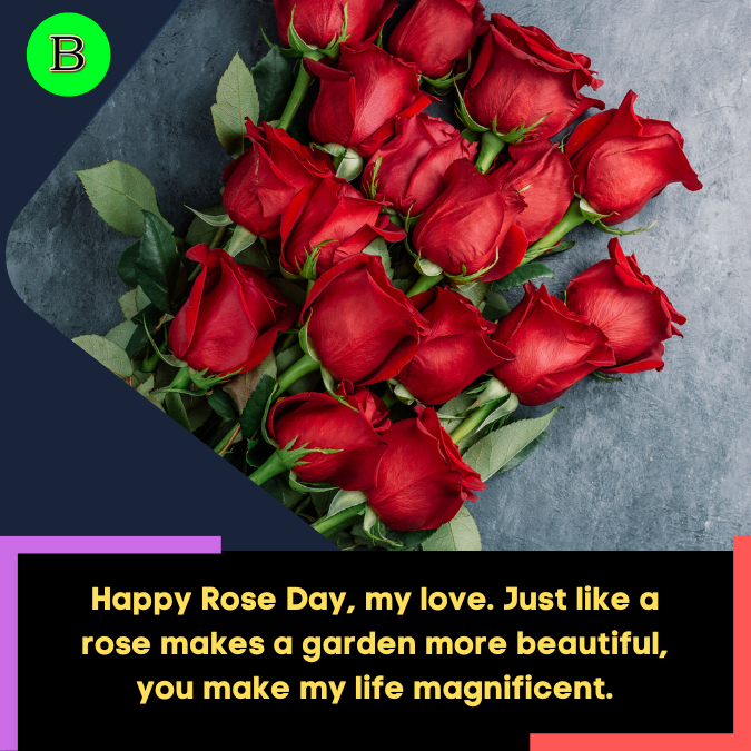 Happy Rose Day, my love. Just like a rose makes a garden more beautiful, you make my life magnificent.