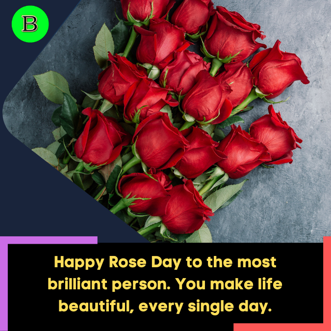 Happy Rose Day to the most brilliant person. You make life beautiful, every single day.