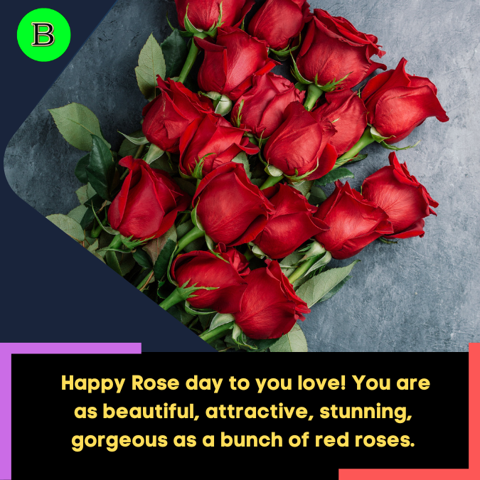 _Happy Rose day to you love! You are as beautiful, attractive, stunning, gorgeous as a bunch of red roses.