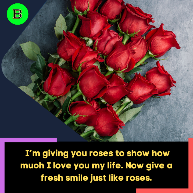 _I’m giving you roses to show how much I love you my life. Now give a fresh smile just like roses.