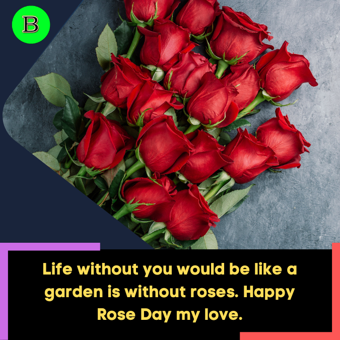 Life without you would be like a garden is without roses. Happy Rose Day my love.