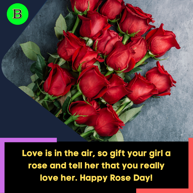 Love is in the air, so gift your girl a rose and tell her that you really love her. Happy Rose Day!