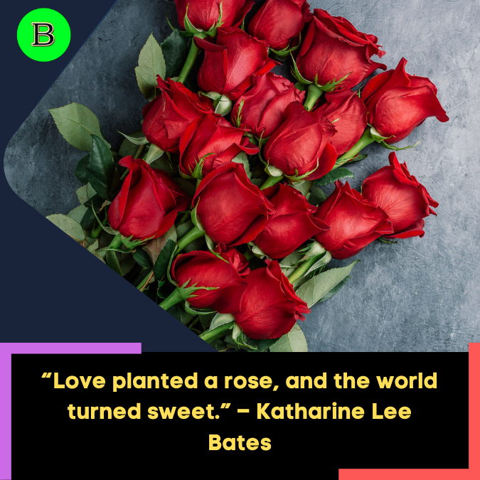 “Love planted a rose, and the world turned sweet.” – Katharine Lee Bates