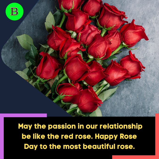 _May the passion in our relationship be like the red rose. Happy Rose Day to the most beautiful rose.