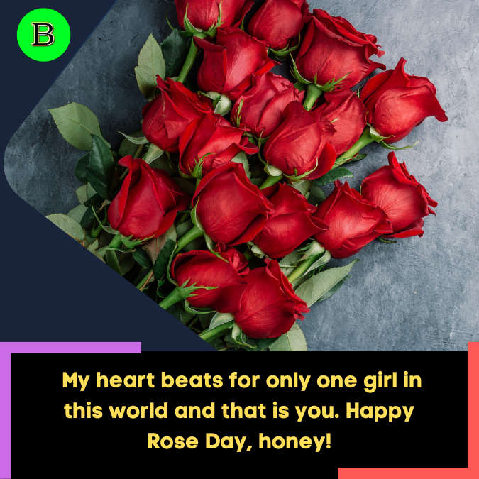 _My heart beats for only one girl in this world and that is you. Happy Rose Day, honey!