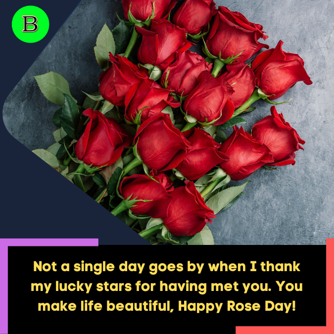 Not a single day goes by when I thank my lucky stars for having met you. You make life beautiful, Happy Rose Day!