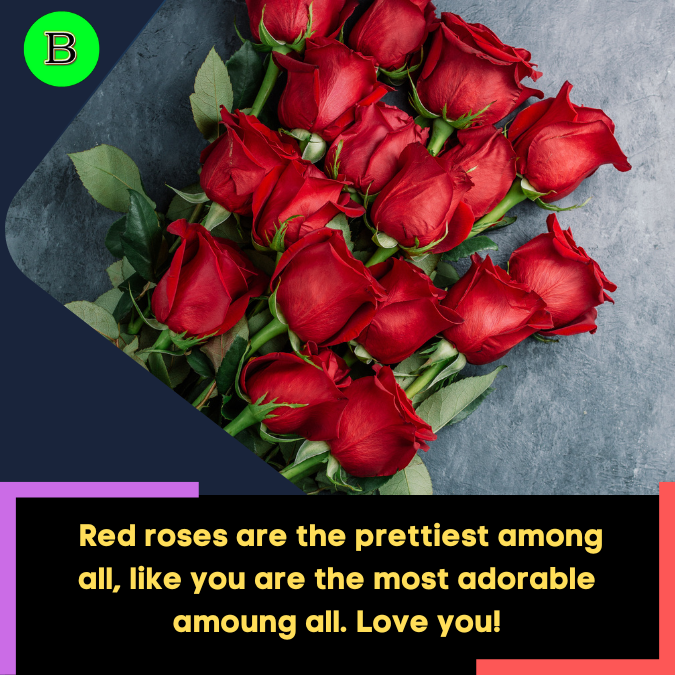 _Red roses are the prettiest among all, like you are the most adorable amoung all. Love you!