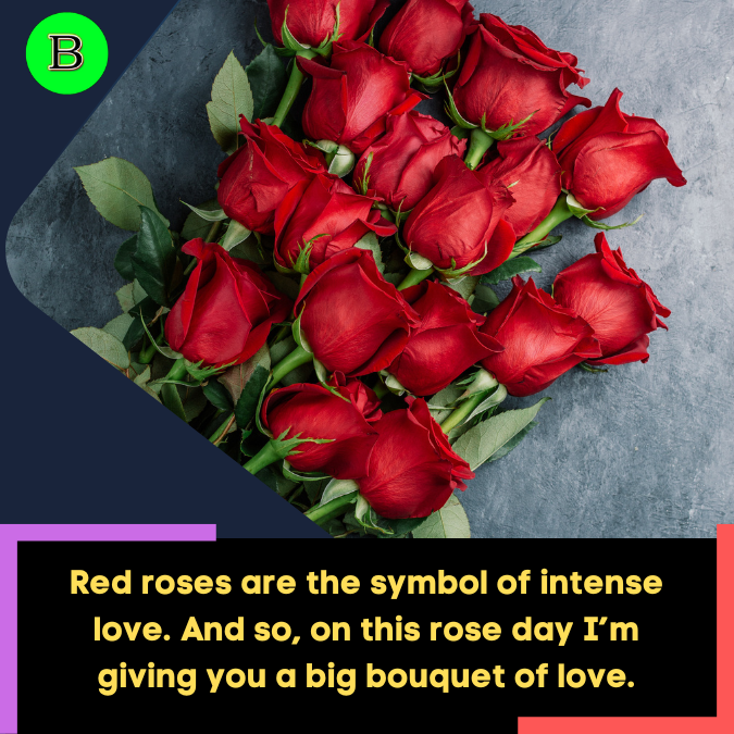 Red roses are the symbol of intense love. And so, on this rose day I’m giving you a big bouquet of love.