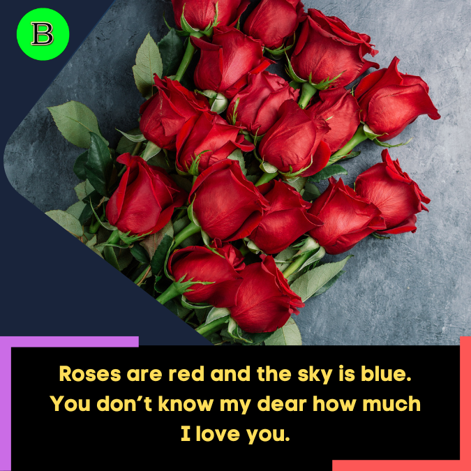 Roses are red and the sky is blue. You don’t know my dear how much I love you.