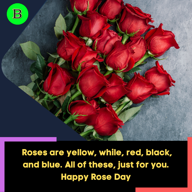 _Roses are yellow, while, red, black, and blue. All of these,  just for you. Happy Rose Day