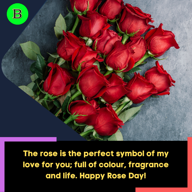 The rose is the perfect symbol of my love for you; full of colour, fragrance and life. Happy Rose Day!
