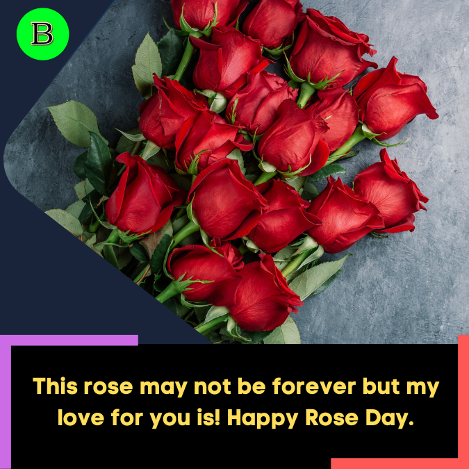 This rose may not be forever but my love for you is! Happy Rose Day.