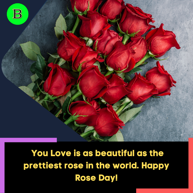 _You Love is as beautiful as the prettiest rose in the world. Happy Rose Day!