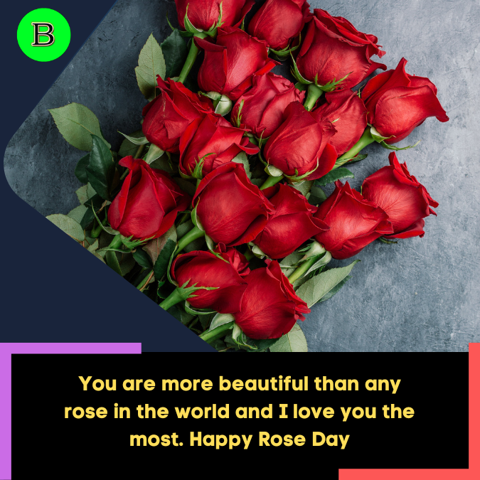 You are more beautiful than any rose in the world and I love you the most. Happy Rose Day