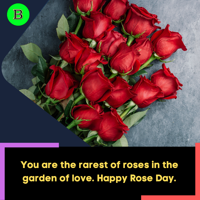 You are the rarest of roses in the garden of love. Happy Rose Day.