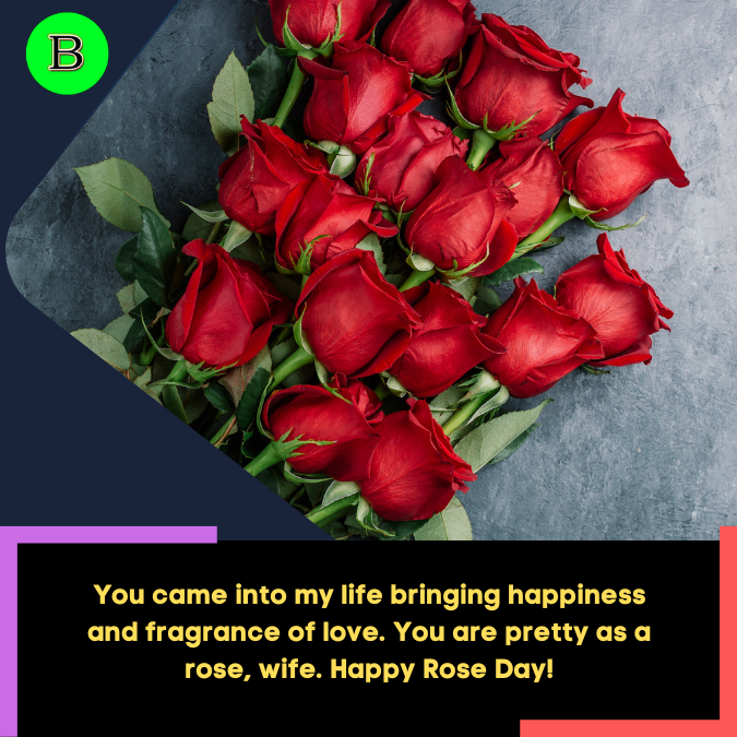 You came into my life bringing happiness and fragrance of love. You are pretty as a rose, wife. Happy Rose Day!