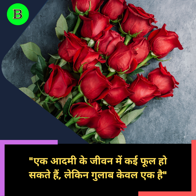 एक आदमी के जीवन में कई फूल हो सकते हैं, लेकिन गुलाब केवल एक  है