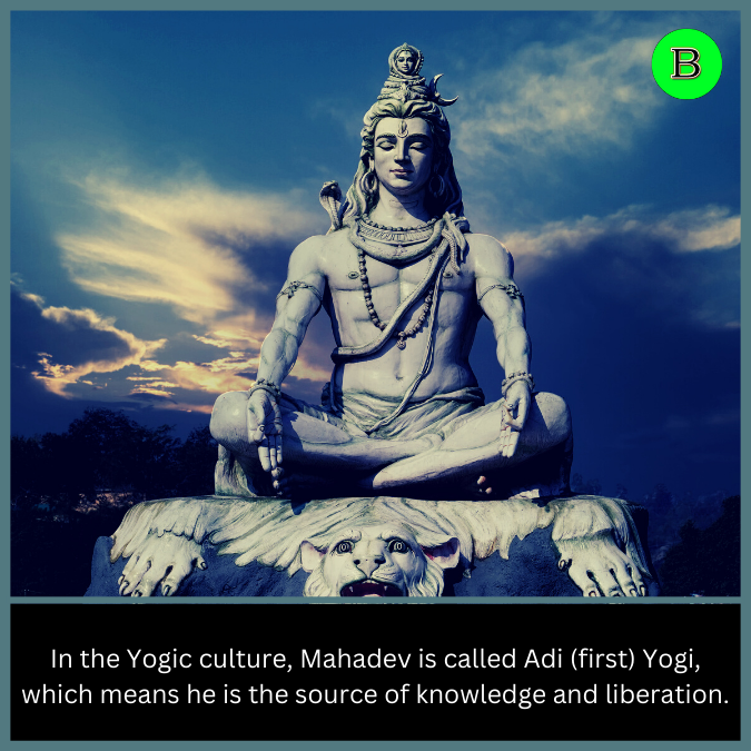 In the Yogic culture, Mahadev is called Adi (first) Yogi, which means he is the source of knowledge and liberation.