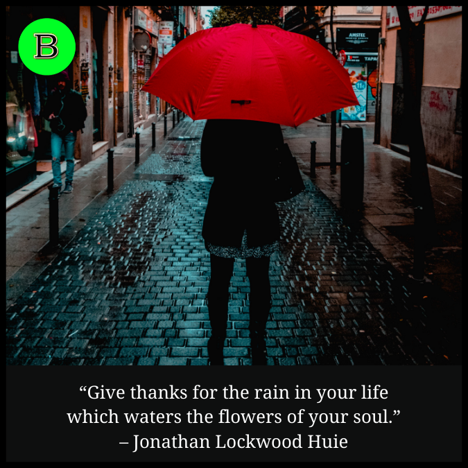 “Give thanks for the rain in your life which waters the flowers of your soul.” – Jonathan Lockwood Huie