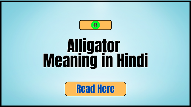 Alligator Meaning in Hindi